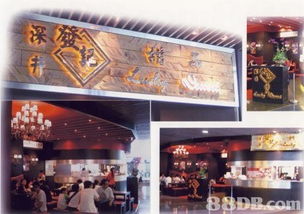 自助网页设计咨询 从零开始构建你的在线品牌