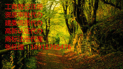 北京旅行社办理要求与咨询服务指南