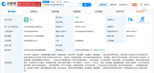 专业咨询服务 解锁潜能，引领未来