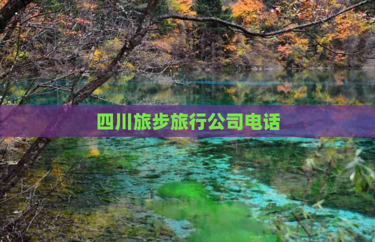 四川旅步旅行公司 旅行社服务网点旅游招徕与联系方式