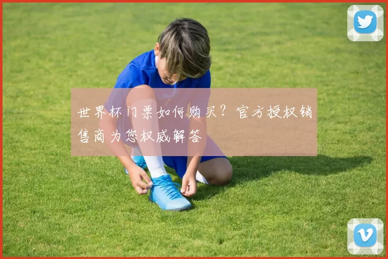 世界杯门票如何购买？官方授权销售商为您权威解答