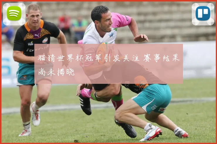猫猜世界杯冠军引发关注 赛事结果尚未揭晓