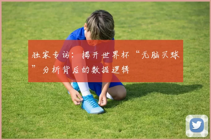 独家专访:揭开世界杯“无脑买球”分析背后的数据逻辑
