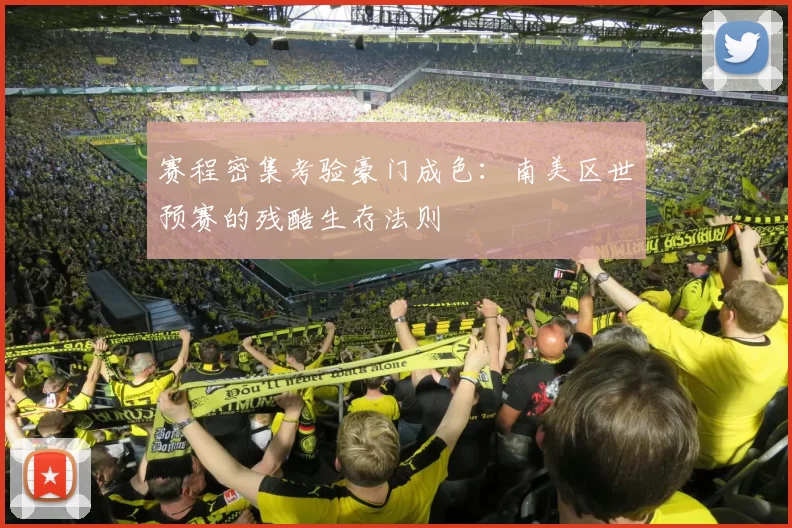 赛程密集考验豪门成色:南美区世预赛的残酷生存法则