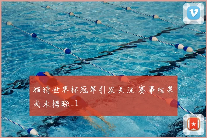 猫猜世界杯冠军引发关注 赛事结果尚未揭晓_1