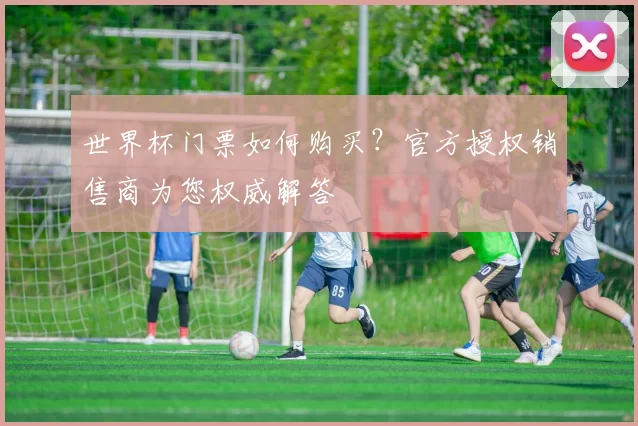 世界杯门票如何购买？官方授权销售商为您权威解答