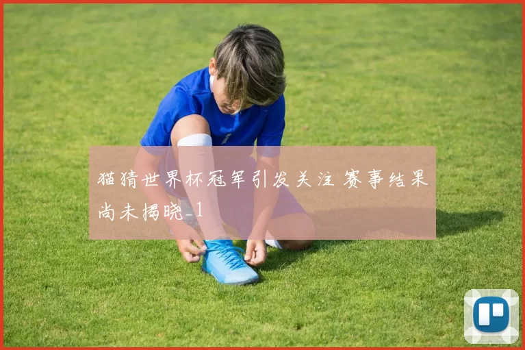 猫猜世界杯冠军引发关注 赛事结果尚未揭晓_1