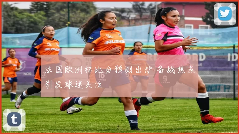 法国欧洲杯比分预测出炉 备战焦点引发球迷关注