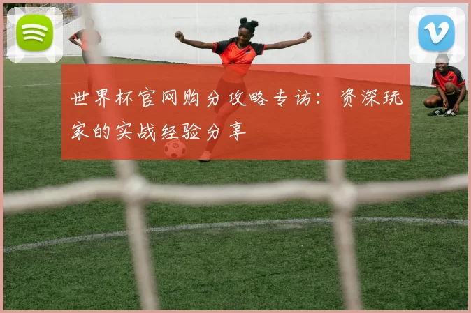 世界杯官网购分攻略专访:资深玩家的实战经验分享
